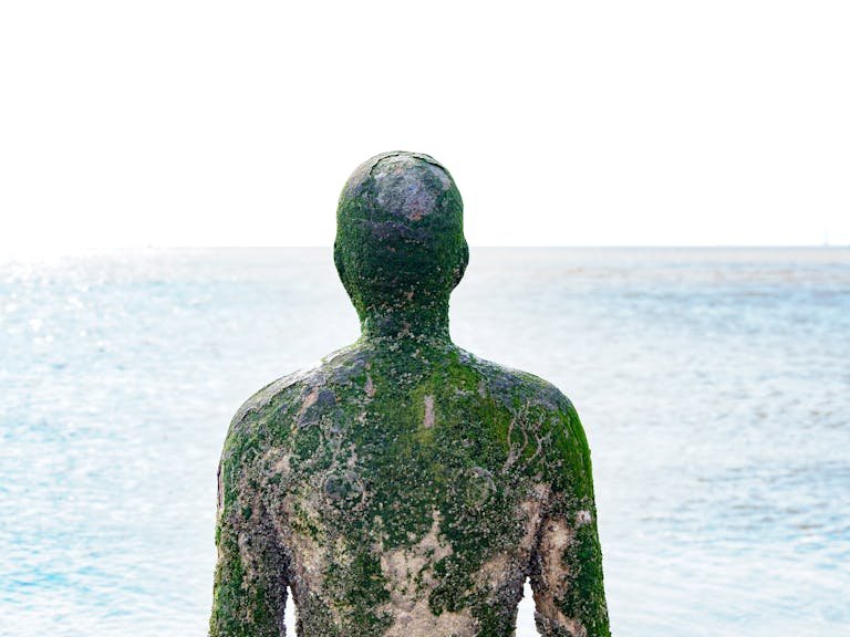 Back view of a moss-covered sculpture on Crosby Beach, England, facing the sea.