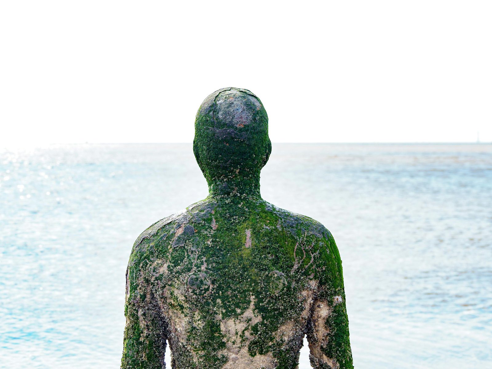 Back view of a moss-covered sculpture on Crosby Beach, England, facing the sea.